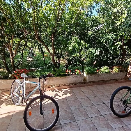 Lana * Starigrad Paklenica