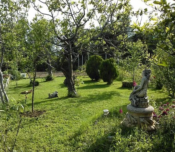 Lana Apartment Starigrad Paklenica