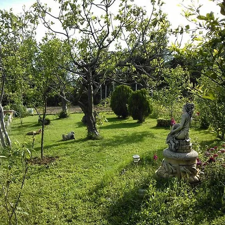 Lana Apartament Starigrad Paklenica